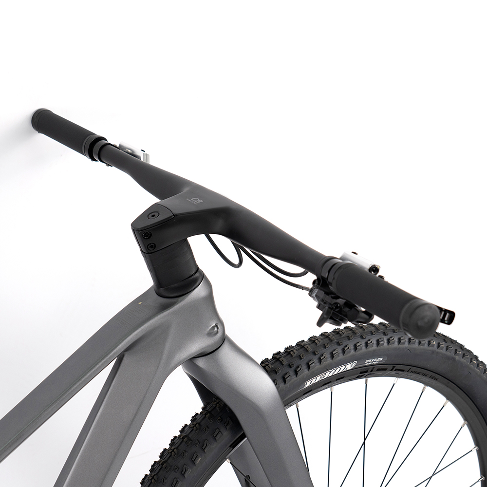 Premium Carbon Mountain Bike w - Mountain Biking Usa recension och pris